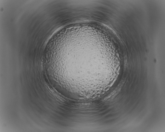 X0000071831409200607211750