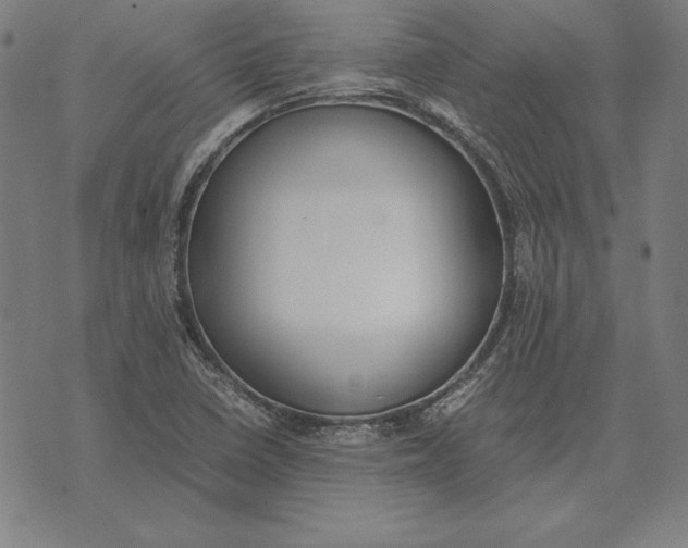 X0000071831410200607211750