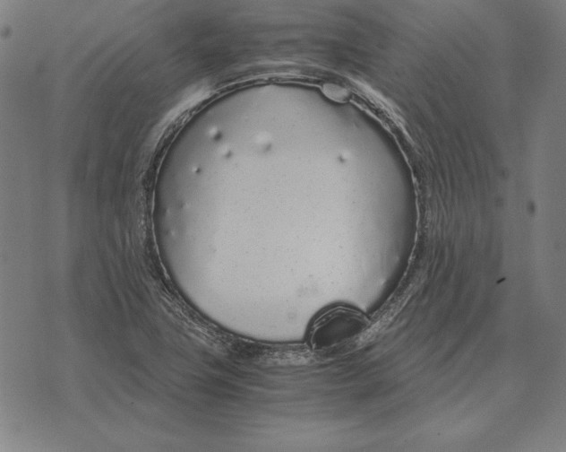 X0000071831411200607211750