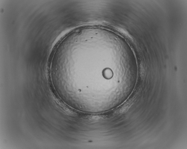 X0000071831412200607211750