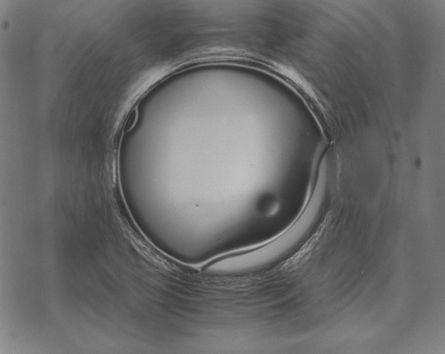 X0000071831413200607211750