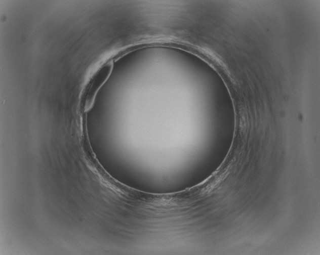 X0000071831414200607211750