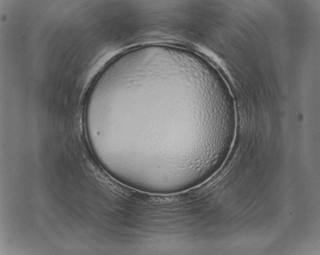 X0000071831415200607211750