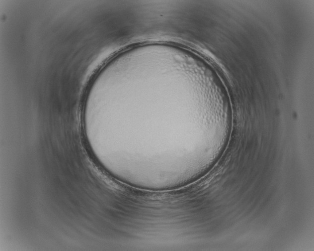 X0000071831416200607211750