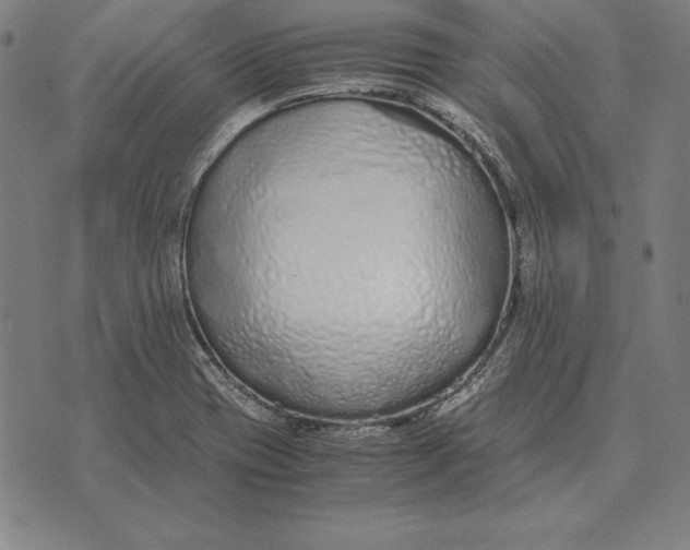 X0000071831417200607211750