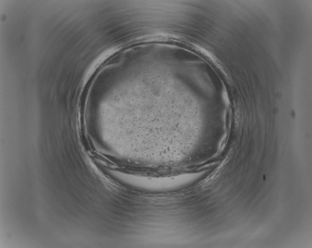 X0000071831418200607211750