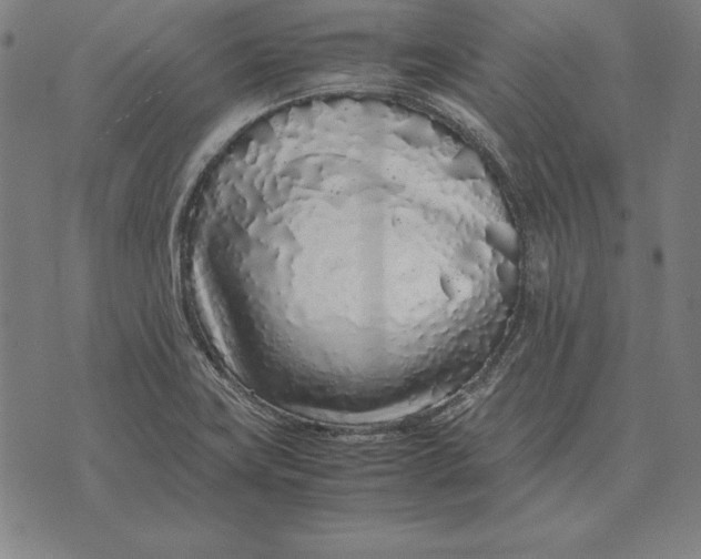 X0000071831419200607211750