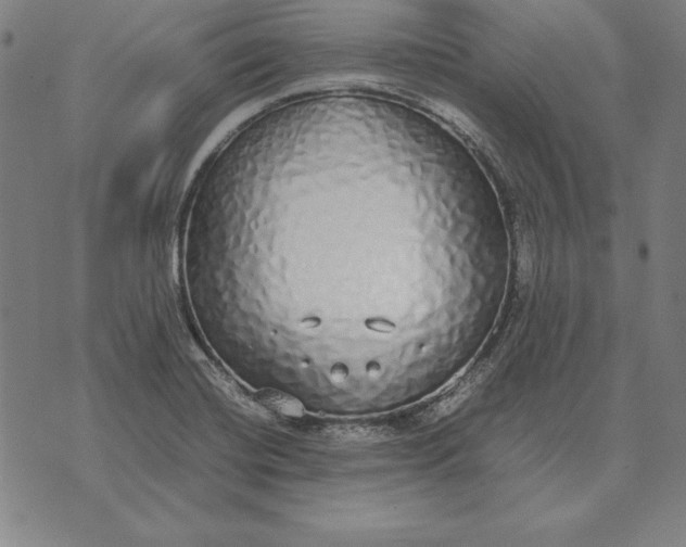 X0000071831420200607211750