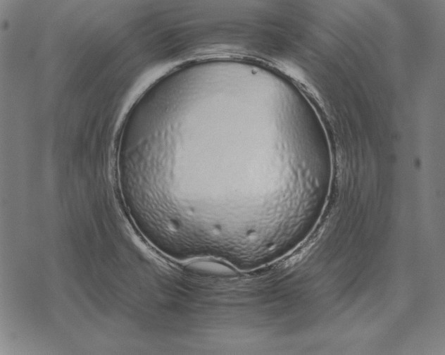 X0000071831421200607211750