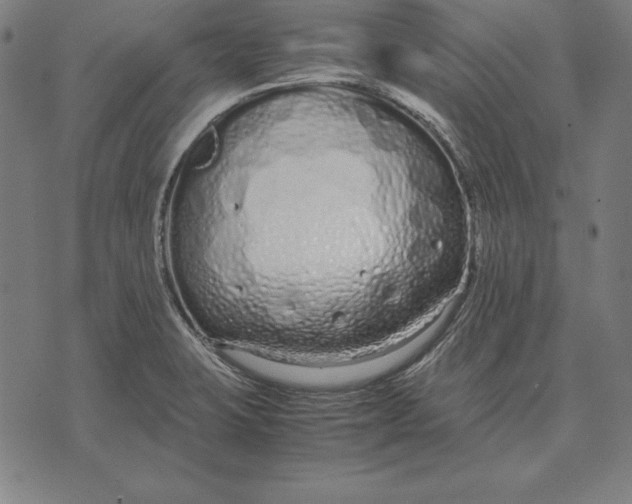 X0000071831423200607211750