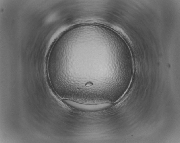 X0000071831424200607211750