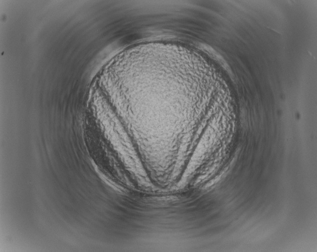 X0000071831425200607211750