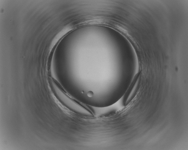 X0000071831426200607211750