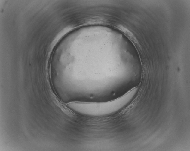 X0000071831427200607211750