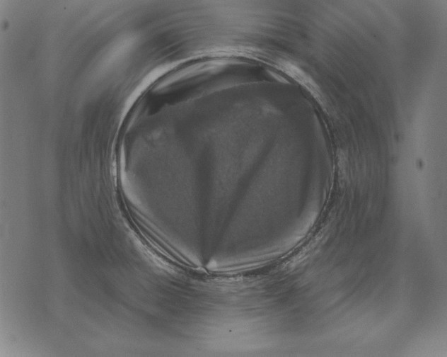 X0000071831428200607211750