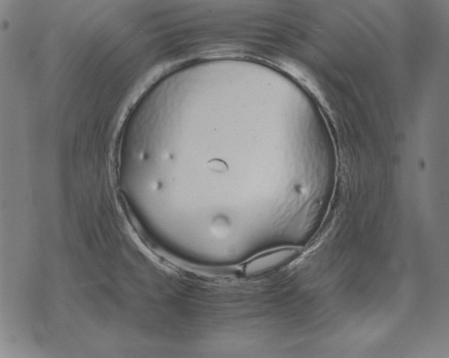 X0000071831429200607211750