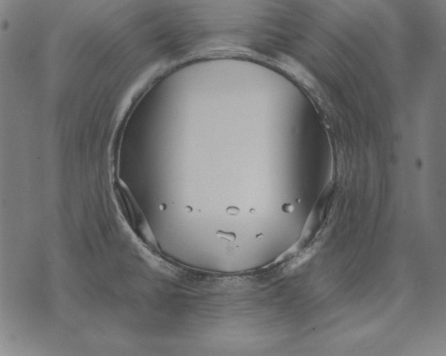 X0000071831430200607211750