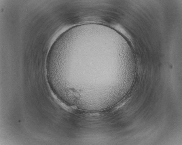 X0000071831431200607211750