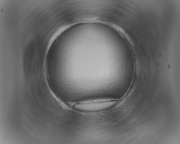 X0000071831432200607211750