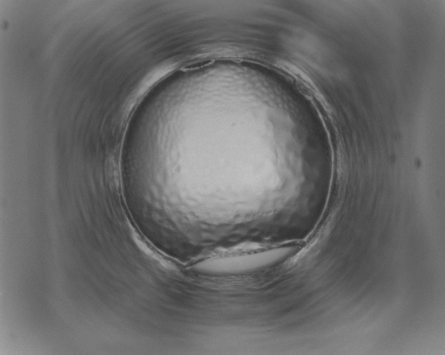 X0000071831433200607211750