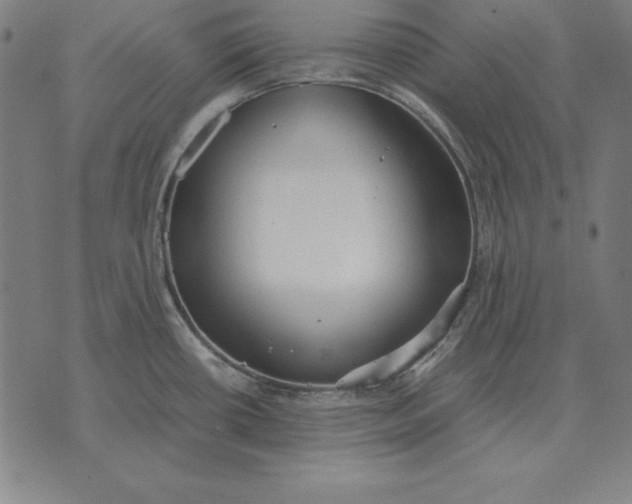 X0000071831434200607211750