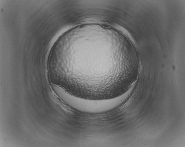 X0000071831435200607211751