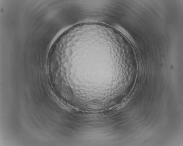 X0000071831436200607211751