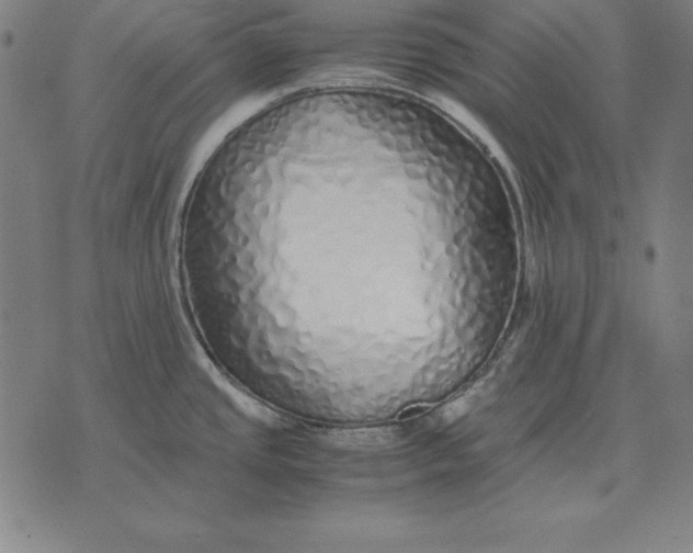 X0000071831437200607211751