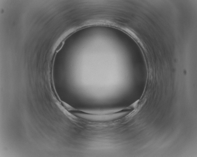 X0000071831438200607211751