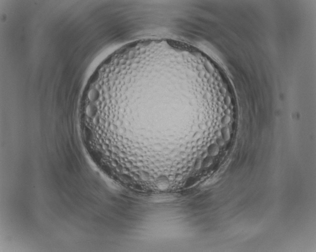 X0000071831440200607211751