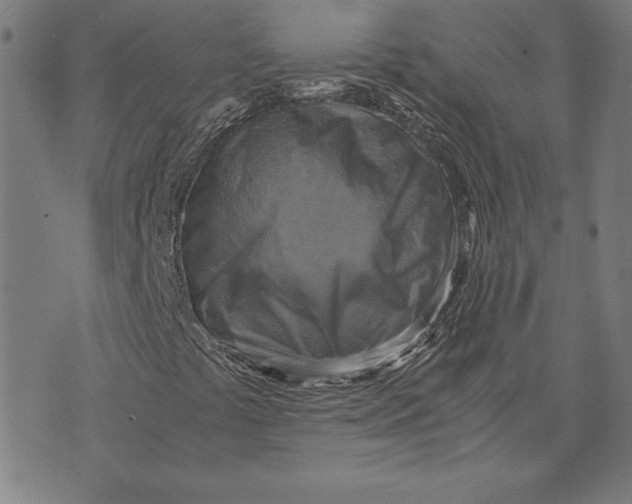 X0000071831441200607211750