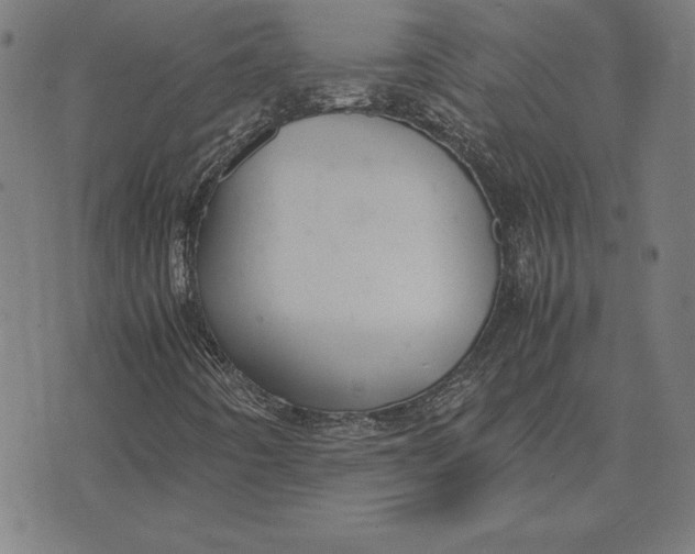 X0000071831442200607211750