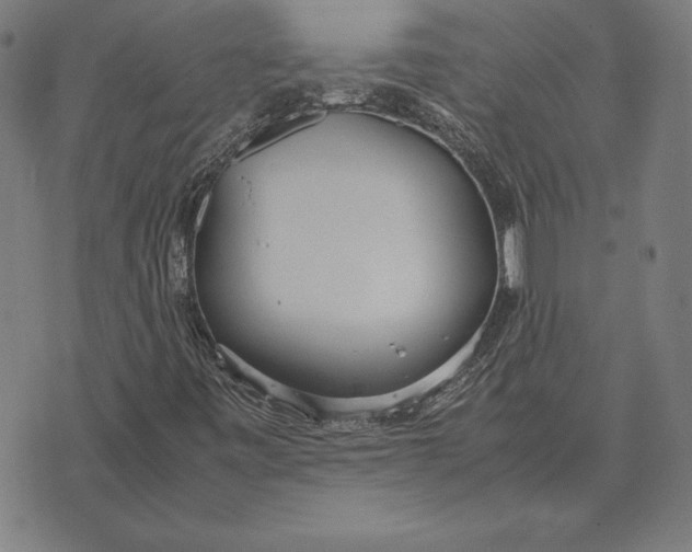 X0000071831443200607211750