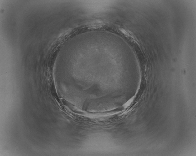 X0000071831445200607211750