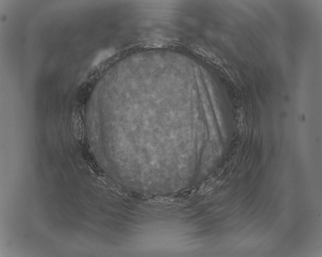 X0000071831446200607211750