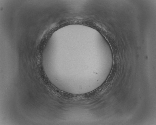 X0000071831447200607211750