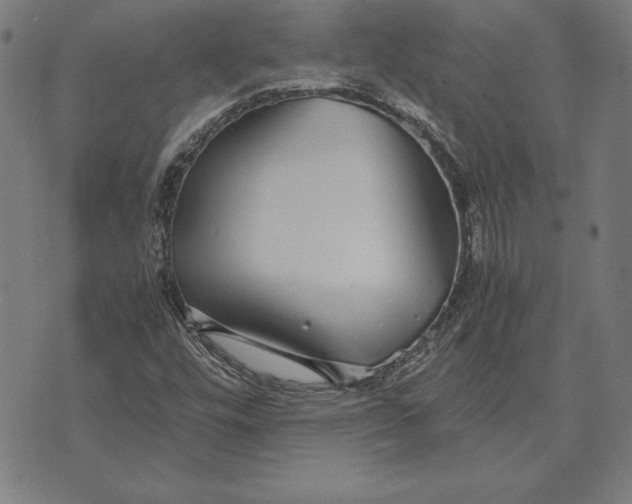 X0000071831448200607211750