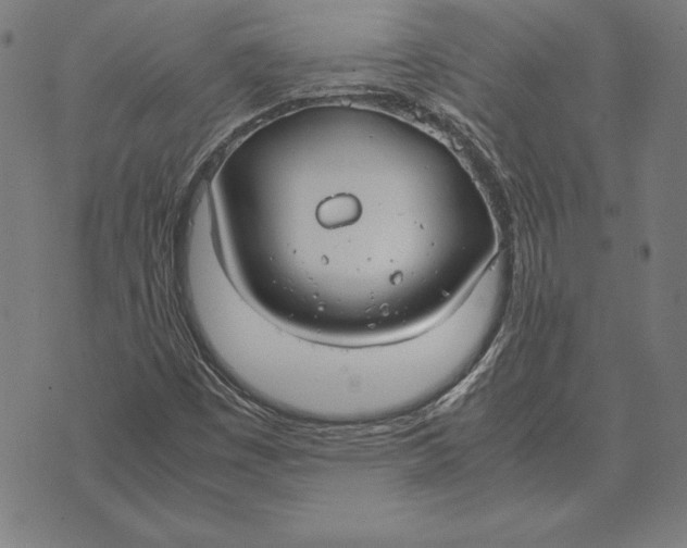 X0000071831449200607211750