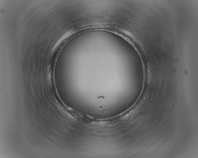 X0000071831450200607211750