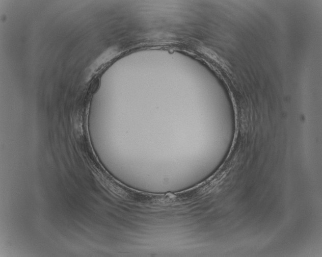 X0000071831451200607211750