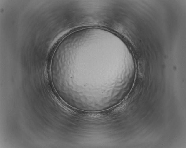 X0000071831452200607211750