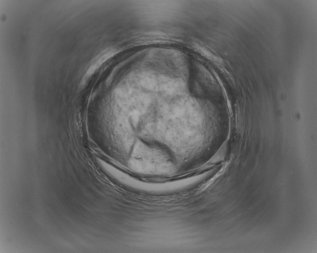 X0000071831453200607211750