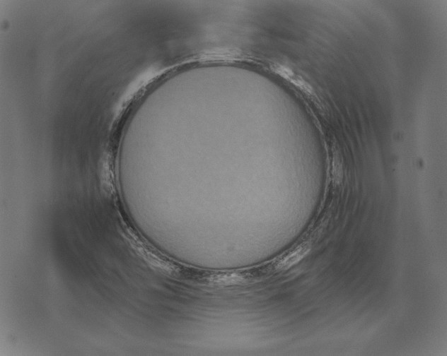 X0000071831454200607211750