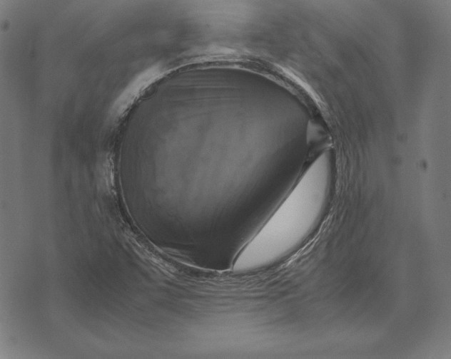 X0000071831455200607211750