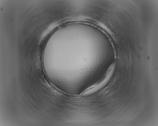 X0000071831456200607211750