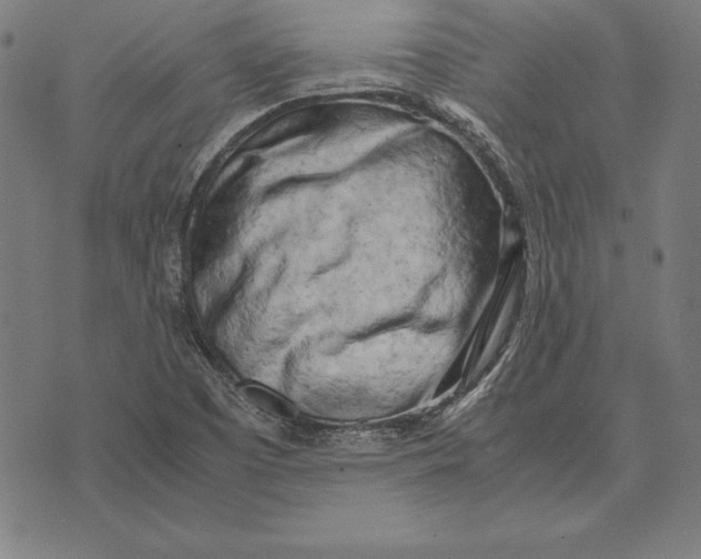 X0000071831457200607211750