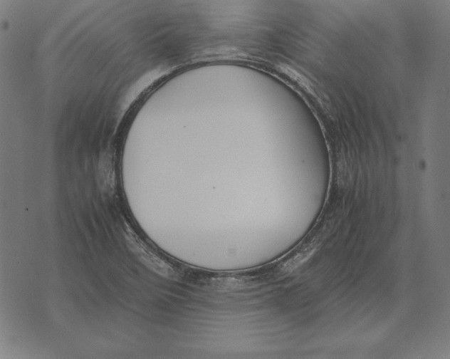 X0000071831458200607211750