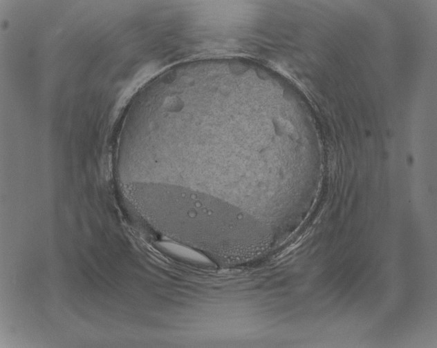 X0000071831459200607211750