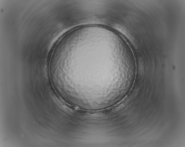 X0000071831460200607211749