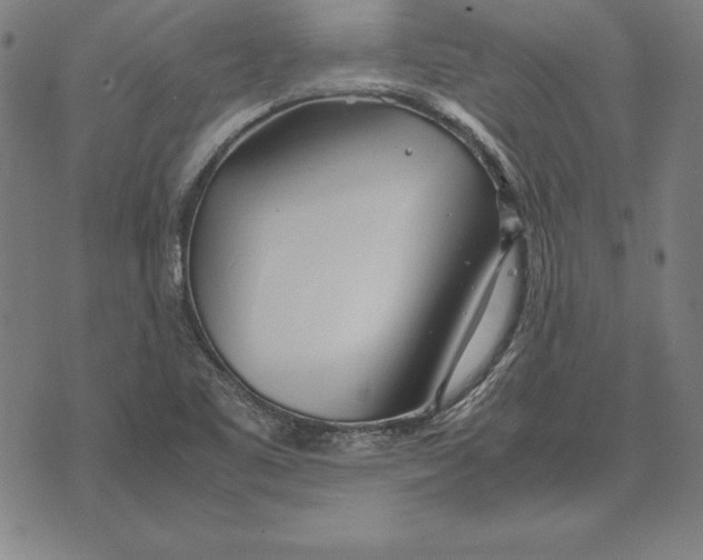 X0000071831461200607211749